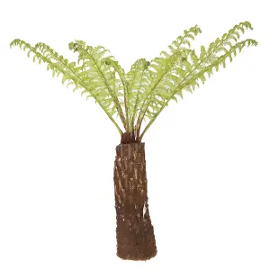 Tree Fern (Dicksonia antarctica) log - 2 foot