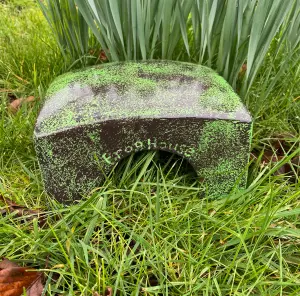 Ceramic Frog & Toad House Frogitat