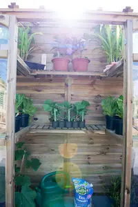 Victorian Tall Wall Greenhouse with Auto Vent