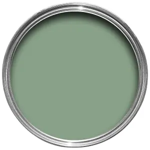 Farrow & Ball Modern Breakfast Room Green No.81 Eggshell Paint, 750ml