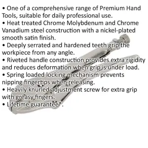 Premium 230mm Locking Pliers with Deeply Serrated Jaws for Secure Grip