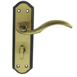 Carlisle Brass Florentine Bronze Wentworth Lever on WC Backplate (DL342FB)