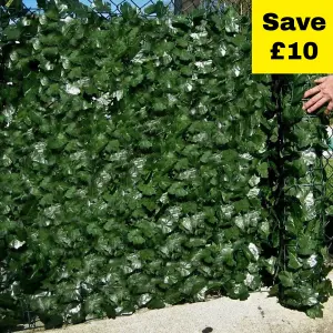 Best Artificial 3m x 1.5m ( One 3m x 1m roll & 0ne 3m x 0.5m rolls) English Ivy Leaf Screening  Hedging Roll - UV Protected