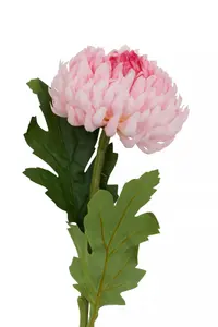 Fiori 84cm Chrysanthemum Stem Pink Flower Artificial Plant Foliage