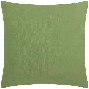 Wylder Wallflower Floral Feather Rich Cushion