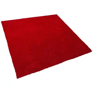 Shaggy Area Rug 200 x 200 cm Red DEMRE