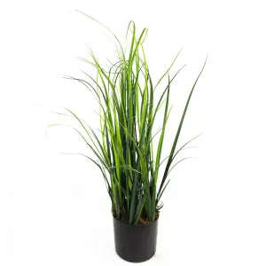 60cm Artificial Lemongrass Grass Plant