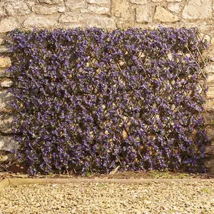 Artificial Lavender Hedge Trellis 1 x 2m Expandable Privacy Screening Panel for Gardens, Balcony and Terraces (x2)