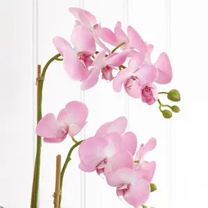 Bloom Artificial Pink Double Phalaenopsis Plant in Vase - Faux Fake Orchid Houseplant Floral Home Decoration - H60cm x W30cm