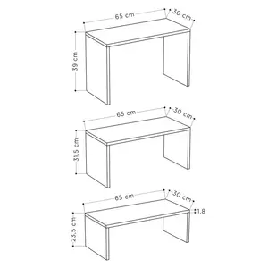 Paris 3 Piece Nest of Coffee Tables Set 44.5" W x 64" L