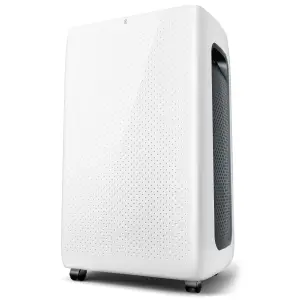 Avalla X-550 Dehumidifier for Home Drying Clothes 20L/Day: Removes Mould and Moisture - Low Power Consumption, 64m3 - Entire Home