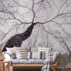 Inside the Trees Mural - 384x260cm - 5413-8