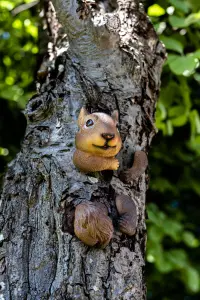 Squirrel Tree Peeker Garden Ornament