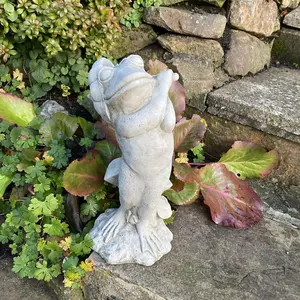 Frog with Umbrella Garden Ornament