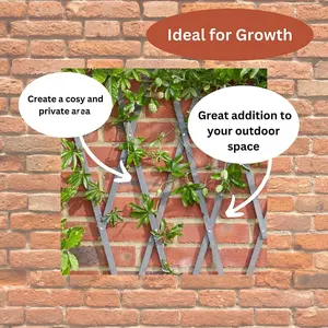 1.8m x 0.3m Wooden Expanding Trellis Plant Support for Climbing Plants Garden Decoration Heavy Duty