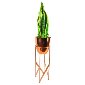 Metal Plant Stand Planter Gold 55cm Tall Design Premium Plant Pots Planters Botanik