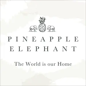 Pineapple Elephant Textured Frayed Edge Cotton Placemat Pair Terracotta