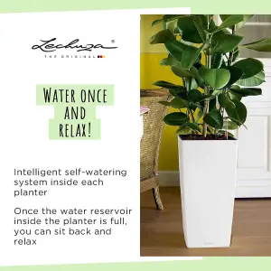 LECHUZA CUBICO Color 56cm Tall Planter, Slate Grey Self-watering Planter with Water Level Indicator H56 L30 W30 cm, 14L