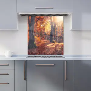 Autumn Forest Premium Glass Kitchen Splashback W900mm x H750mm