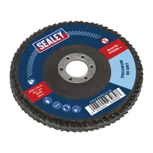 Sealey Flap Disc Zirconium 100mm 16mm Bore 80 Grit Abrasive Flaps FD10080