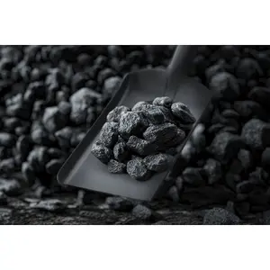 Sealey Coal Shovel 6" with 185mm Handle SS08