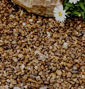 Pea Gravel 10-20mm - 50 Bags (1000kg)