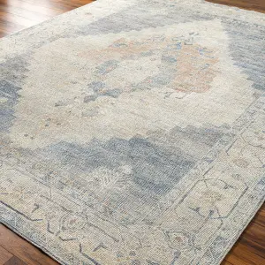 ANIKA Becki Owens x Surya Oriental Vintage Area Rug 200 x 275 cm