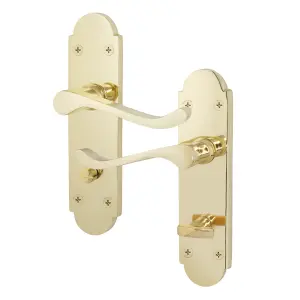 AFIT Polished Brass Bathroom Door Handles - Victorian Scroll Shaped - 1 Pair of Internal Door Handles