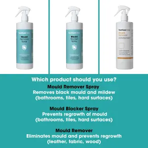 Furniture Clinic Mould Remover Spray