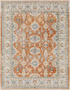 AVNI Machine Washable Vintage Area Rug 160 x 213 cm