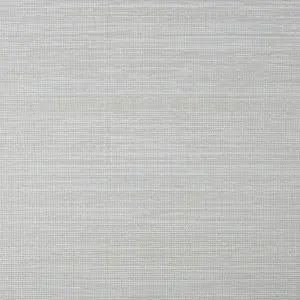 Boutique Gilded texture Moonstone Silver effect Grasscloth Textured Wallpaper Sample