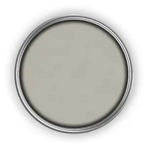 PaintNuts UPVC Door & Window Matt Paint - Silk Grey - 400ml Spray Can (RAL7044)