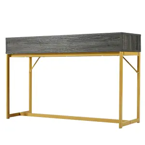 Console Table, Hallway Table with 1 Drawer, Light Luxury Style Side Table, Sofa Table, 120x38x76 cm, gray/gold 