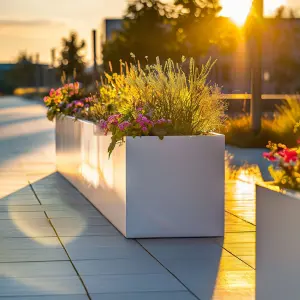 75cm Zinc Galvanised Matte White Trough Planter