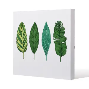 Four Leaves (Canvas Print) / 77 x 77 x 4cm