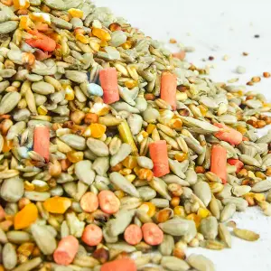 10kg SQUAWK Premium Wild Bird Food - All Season Seed Quality Garden Feed Mix