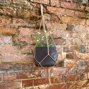 Primrose Round Cement Wall or Ceiling Hanging Plant Pot in Brown 20cm