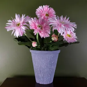 Pink Daisy Flowers Plant Flowering Plant Artificial Botanik