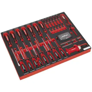 Premium 72-Piece Screwdriver Set with Tool Tray - Slotted & Philips