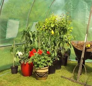 4m x 2m + Anchorage Stake Kit (13' x 7' approx) Pro+ Green Poly Tunnel