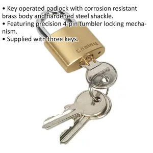 Durable 30mm Brass Padlock with 5mm Steel Shackle and 3 Keys for Enhanced Security