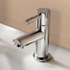 Nes Home Blossom Modern Chrome Single Pair of Hot and Cold Bath Taps