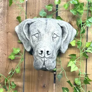 Adorable Great Dane Head Stone Wall Plaque