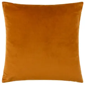 Paoletti Henley Velvet Jacquard Polyester Filled Cushion