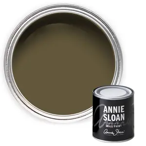 Annie Sloan Wall Paint 120ml Olive