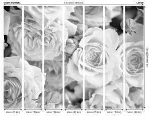 Origin Murals Grey Large Petal Roses Matt Smooth Paste the Wall Mural 350cm wide x 280cm high