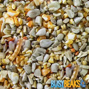 15kg BusyBeaks Robin & Songbird Food - High Energy Wild Bird Seed For Garden Birds