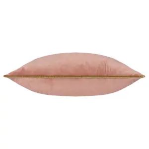 Paoletti Meridian Velvet Feather Rich Cushion