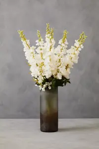 Fiori 90cm White Delphinium Spike Artificial Plant Foliage