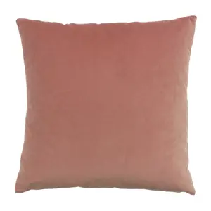 Paoletti Palm Grove Velvet Jacquard Feather Rich Cushion